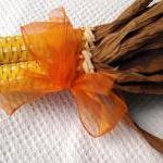 Corn Yellow with Orange Rib..