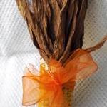 Corn Yellow with Orange Rib..